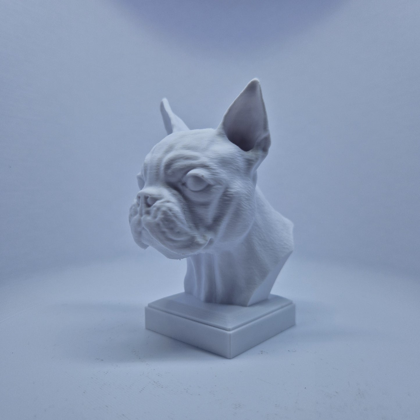 Boston terrier byste