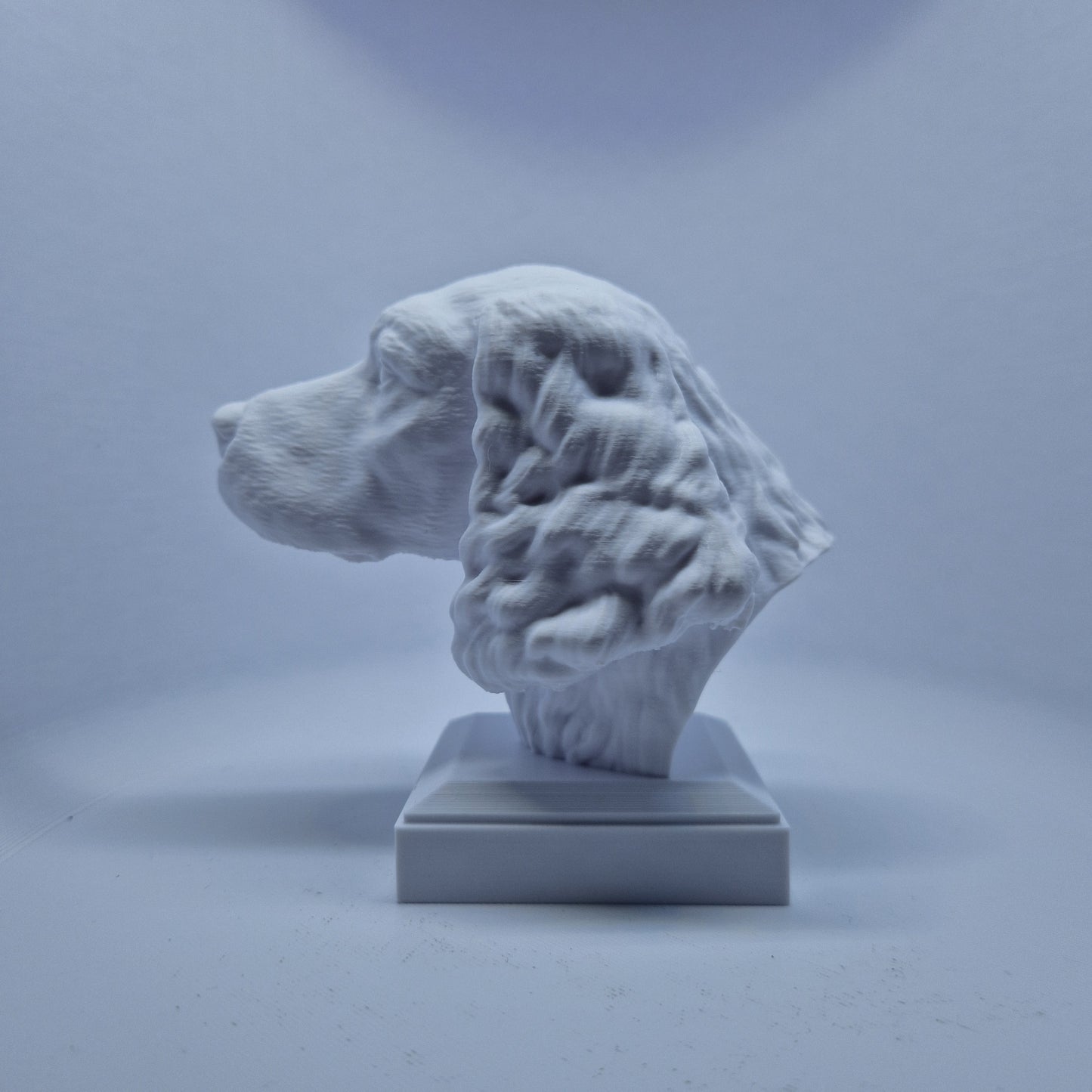Engelsk springer spaniel byste
