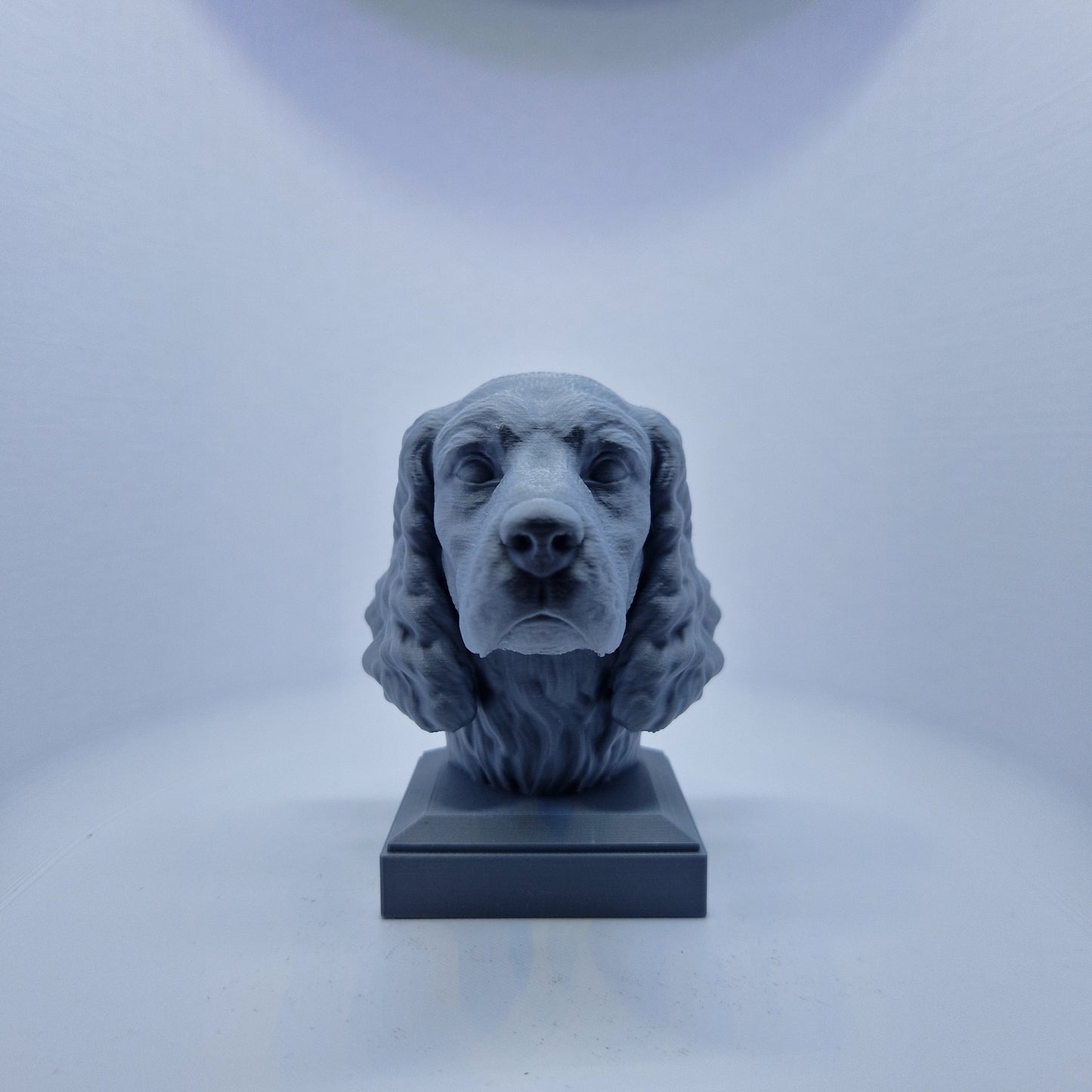 Engelsk springer spaniel byste