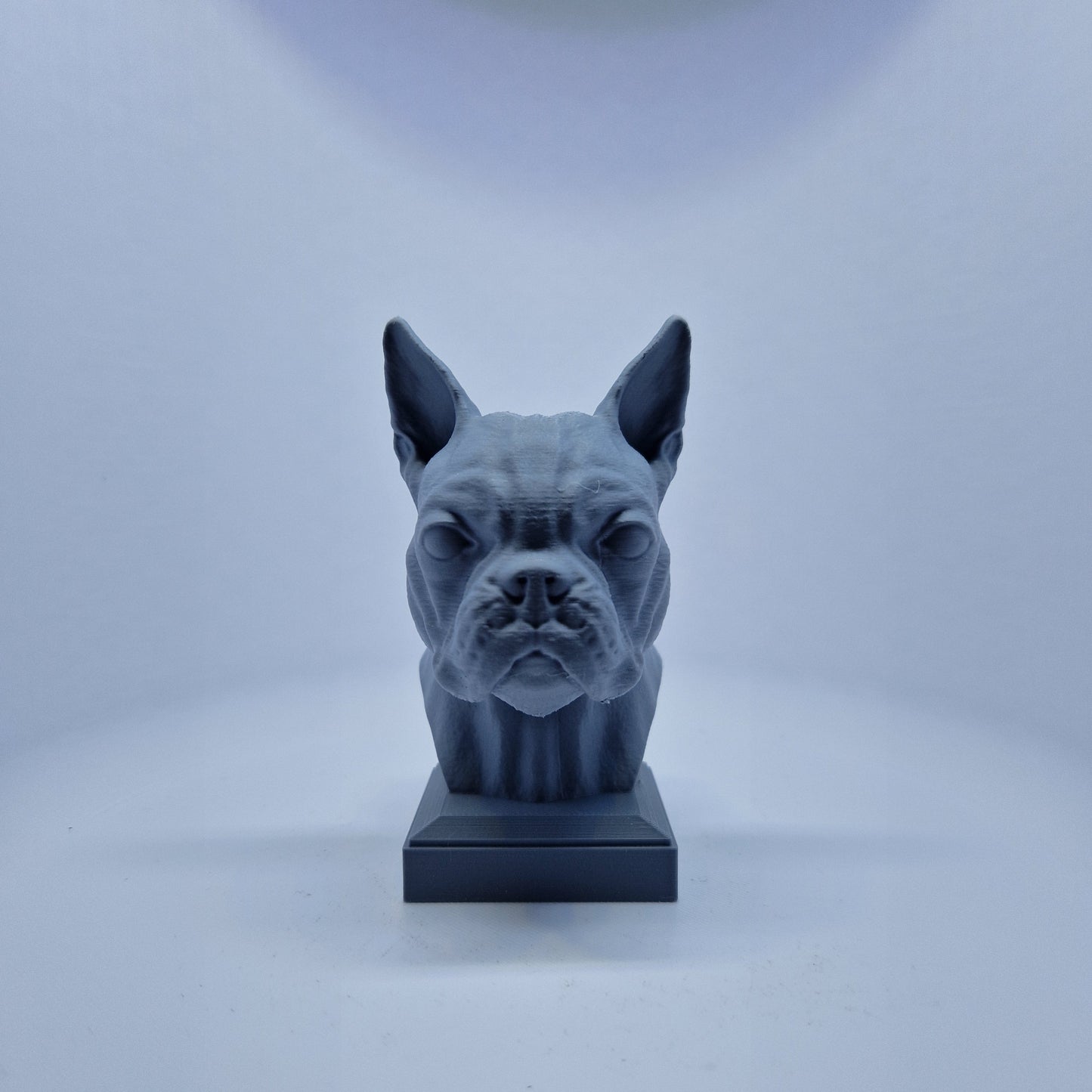 Boston terrier byste