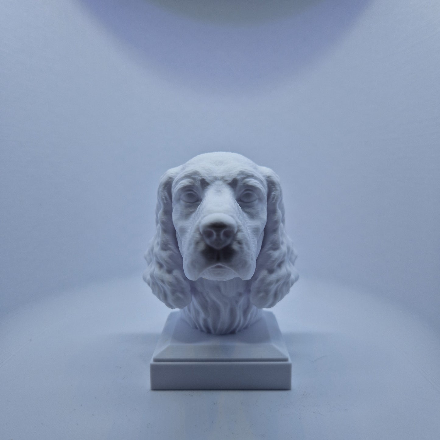 Engelsk springer spaniel byste
