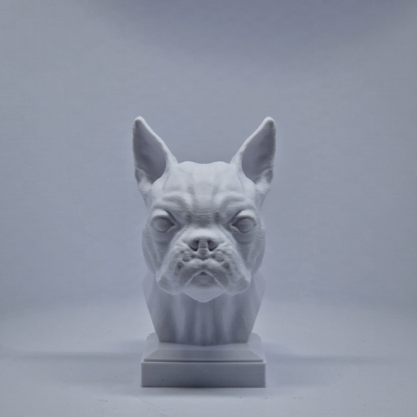 Boston terrier byste