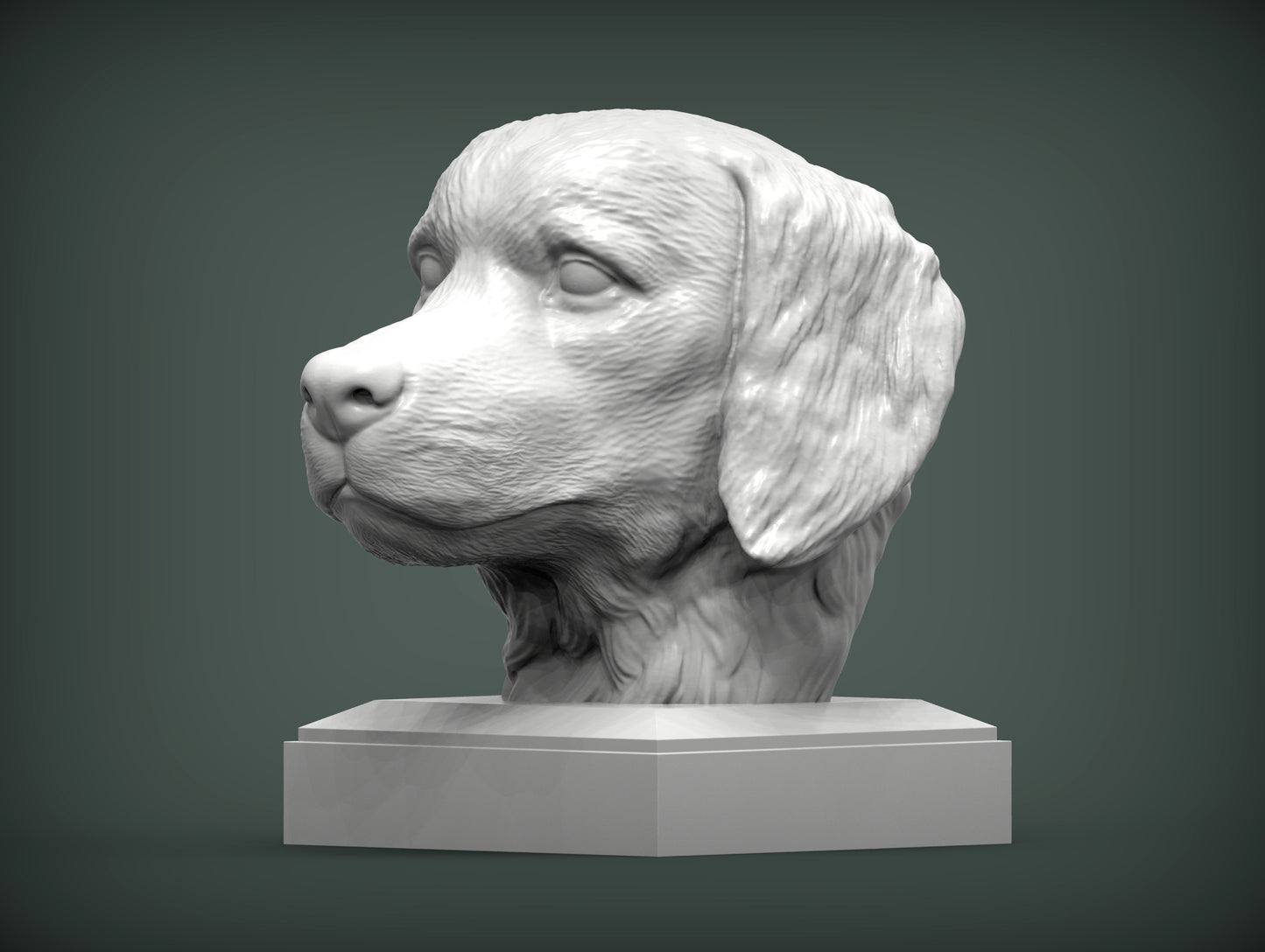 Golden retriever byste