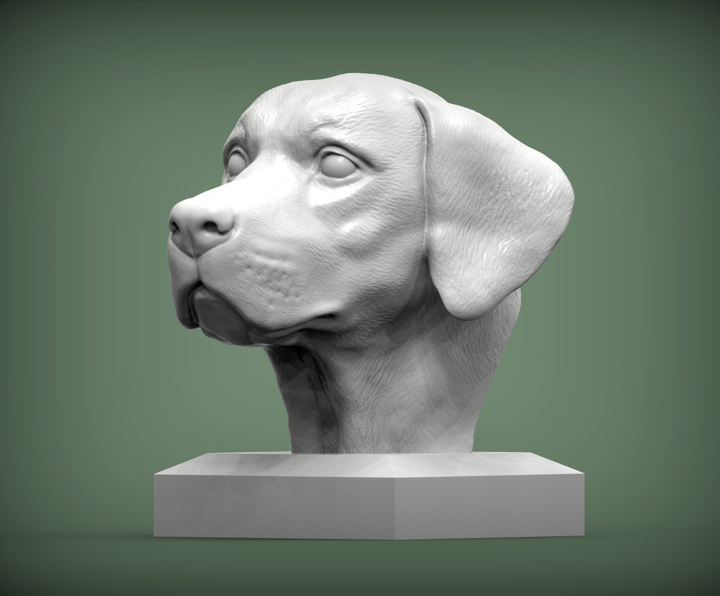 Labrador byste