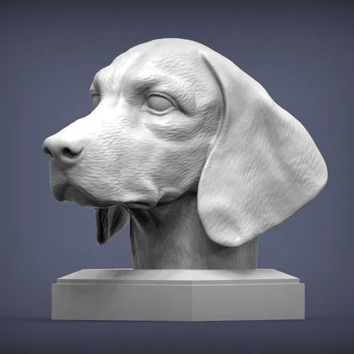 Beagle byste