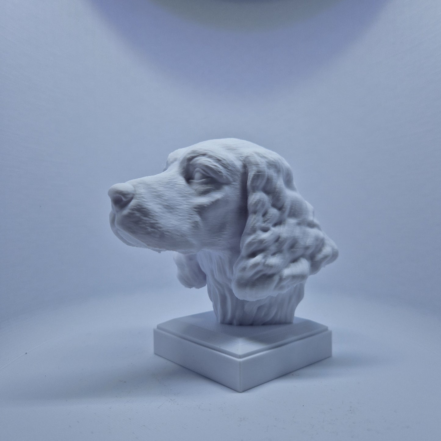 Engelsk springer spaniel byste