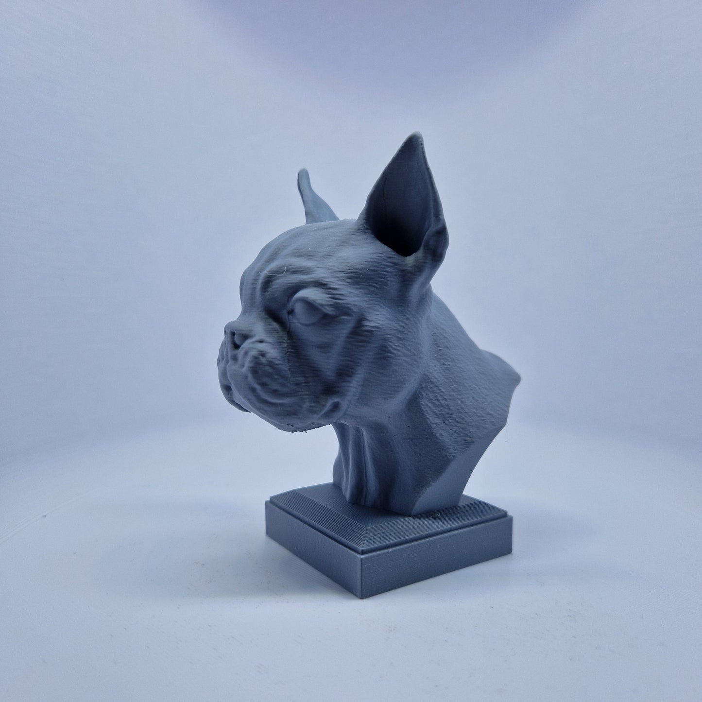 Boston terrier byste