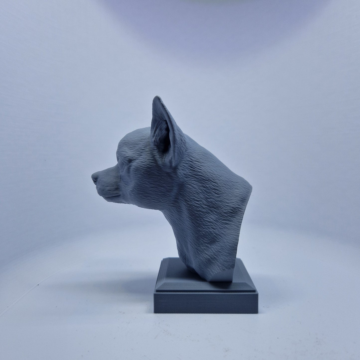 Chihuahua byste