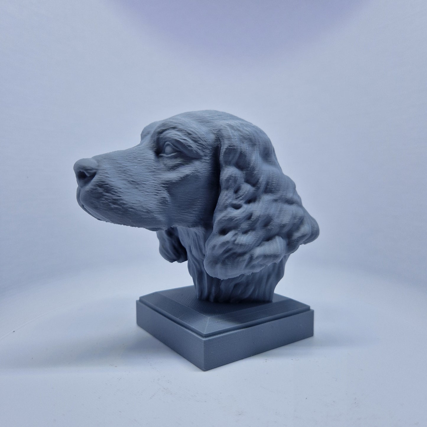 Engelsk springer spaniel byste