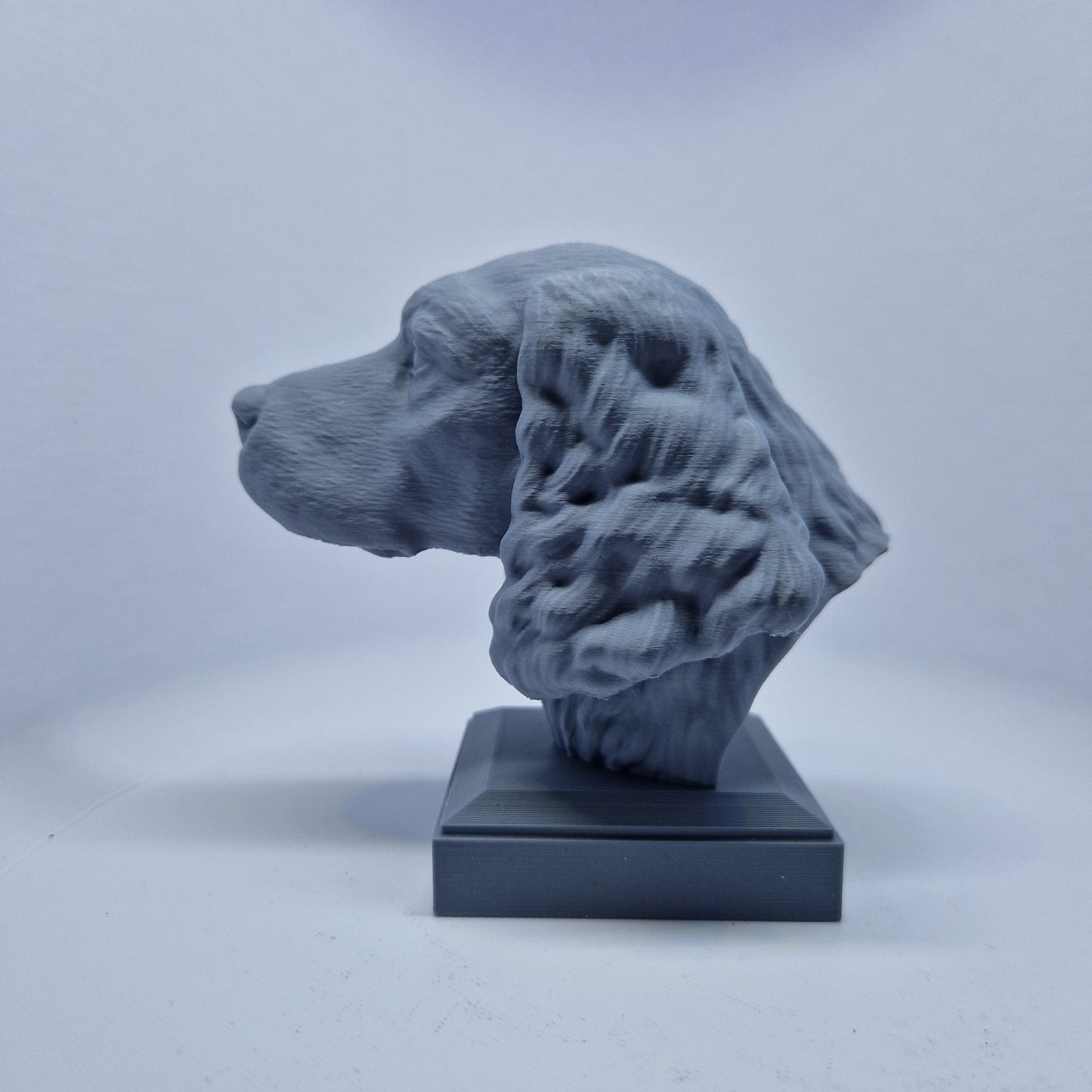 Engelsk springer spaniel byste