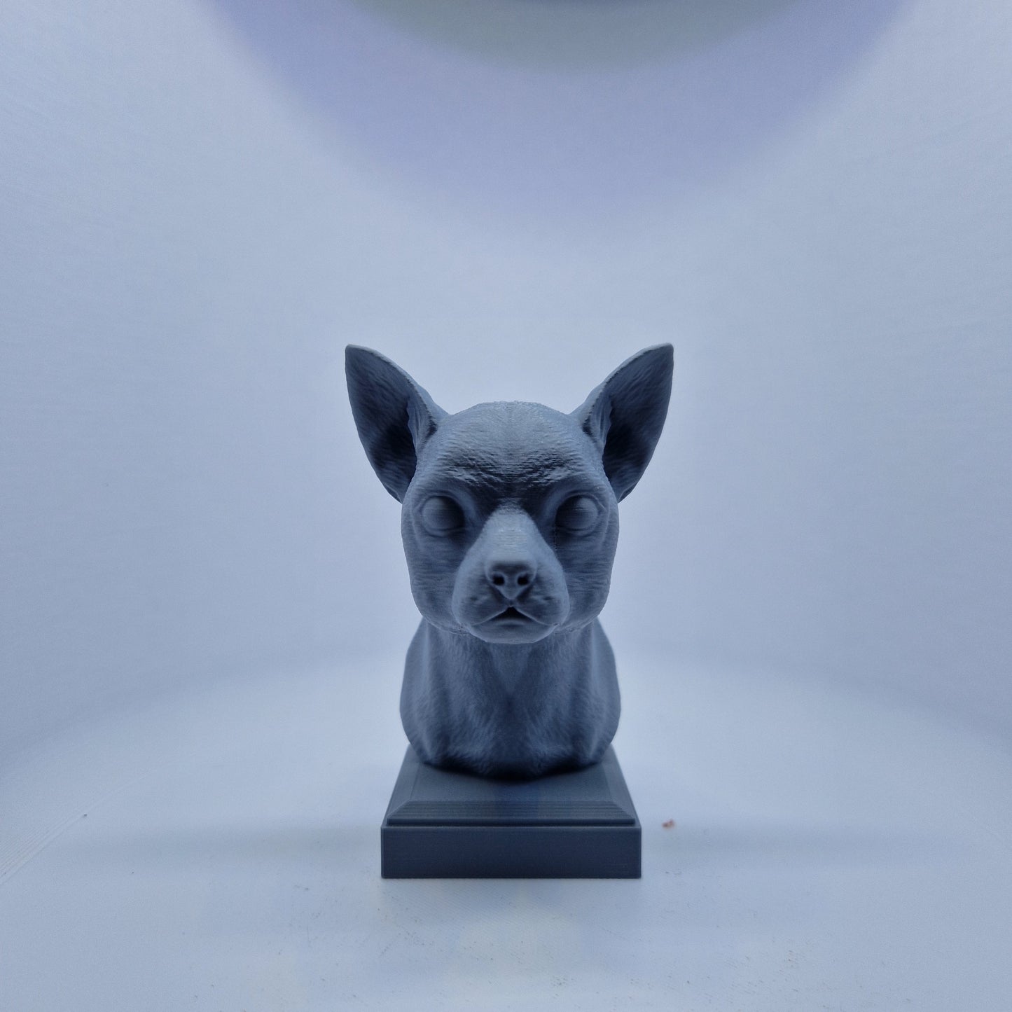 Chihuahua byste