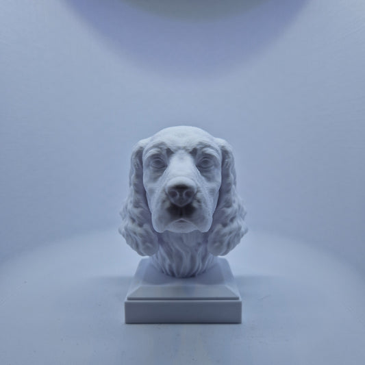Engelsk springer spaniel byste