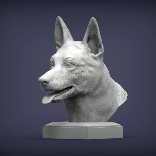 Belgian Malinois byste