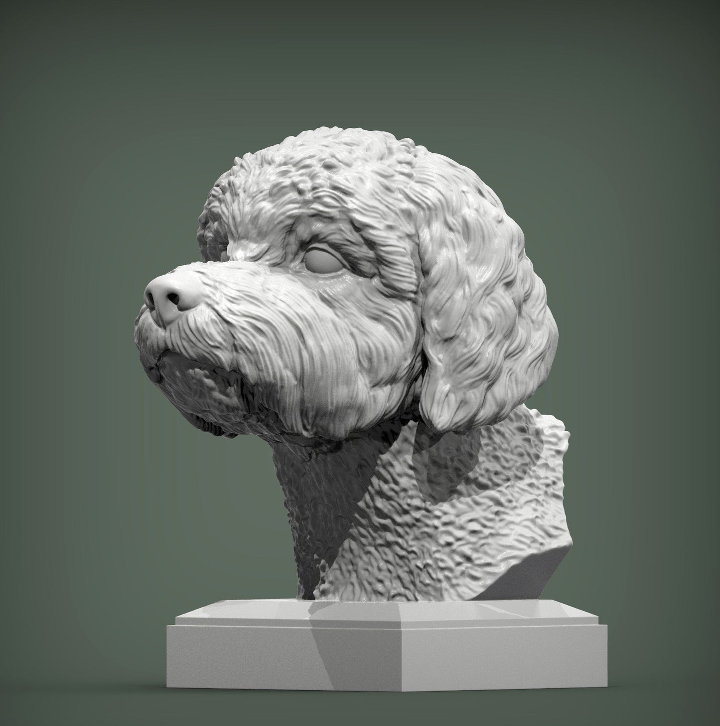 Lagotto byste