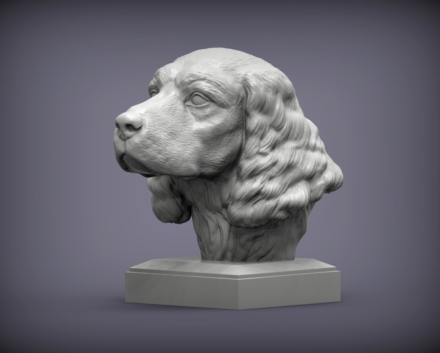 Engelsk springer spaniel byste
