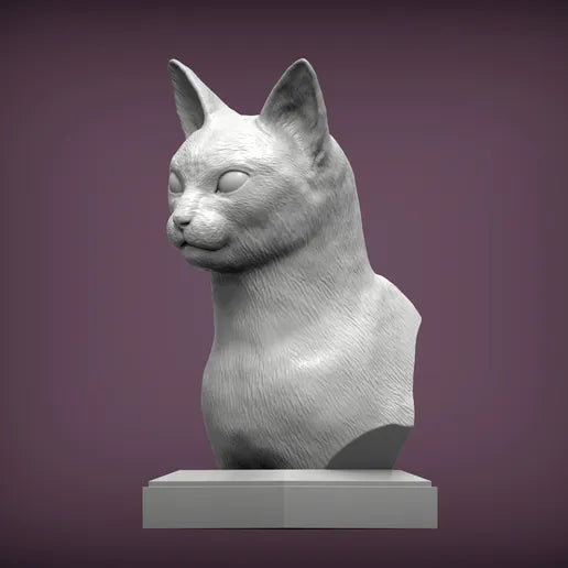 Abyssiner byste
