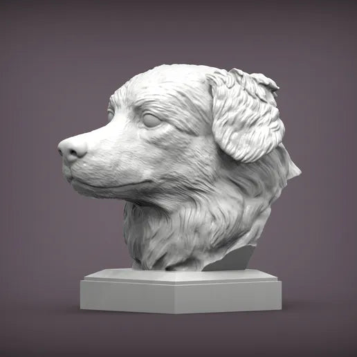 Australian shepherd byste