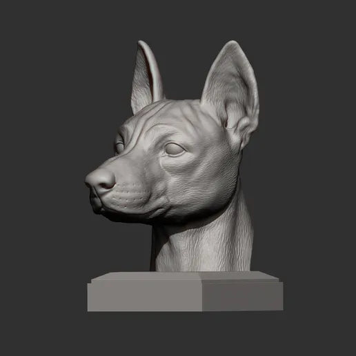 Basenji byste