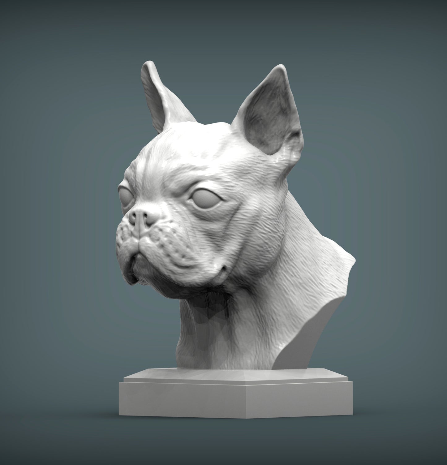 Boston terrier byste