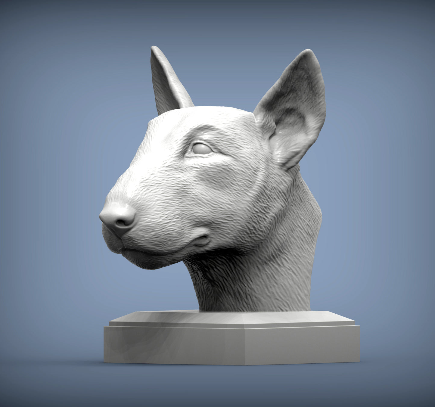 Bull terrier byste