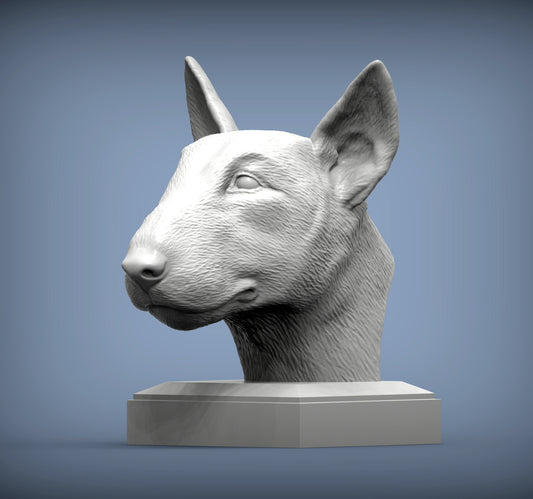 Bull terrier byste