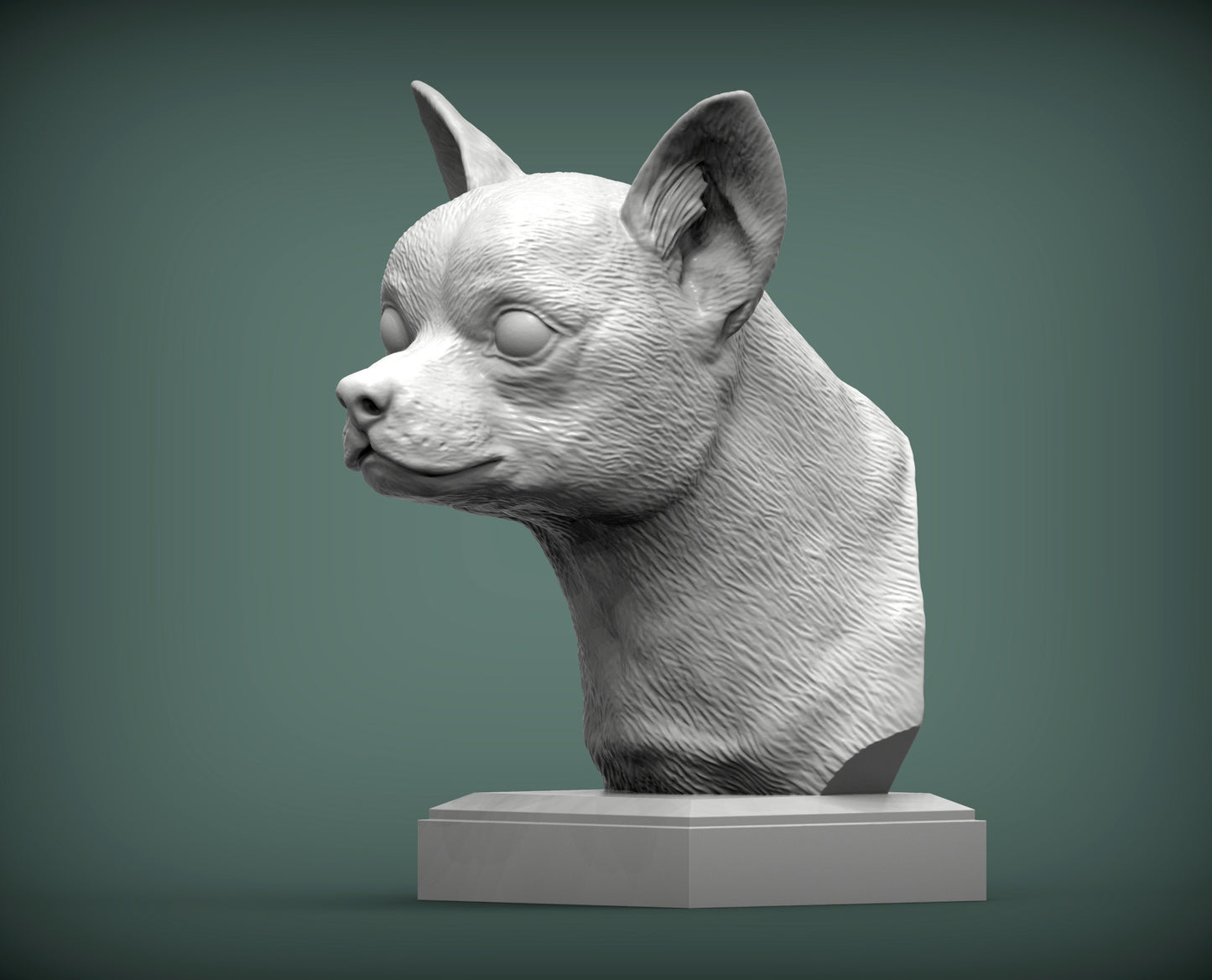 Chihuahua byste