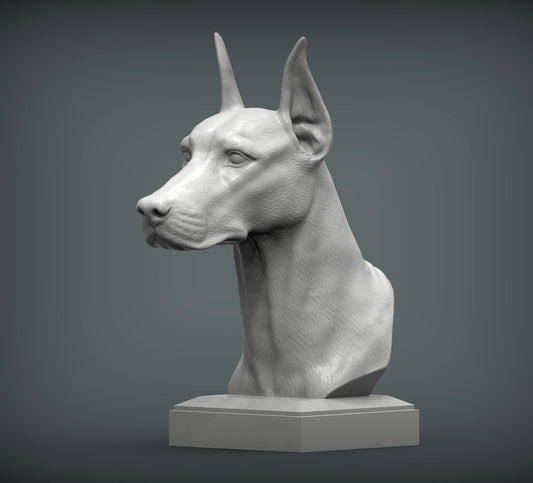 Doberman byste