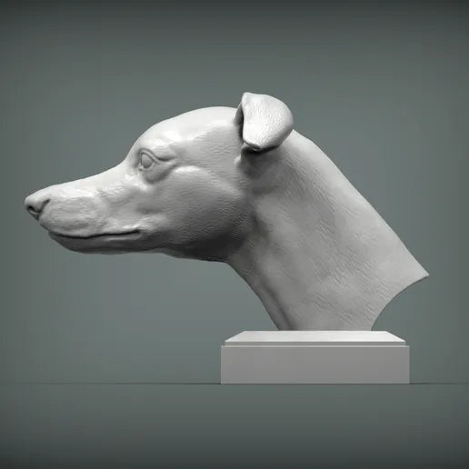 Whippet byste